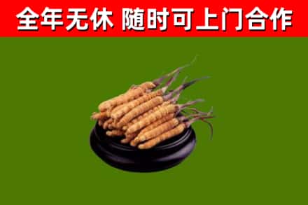 连江县烟酒回收冬虫夏草.jpg